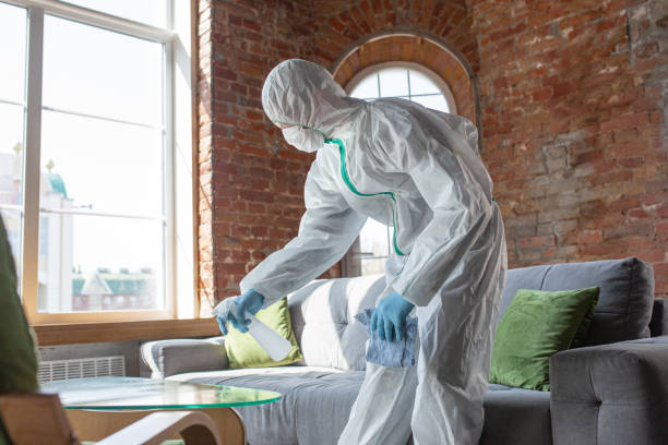 Best Attic Mold Removal in Wooster, OH