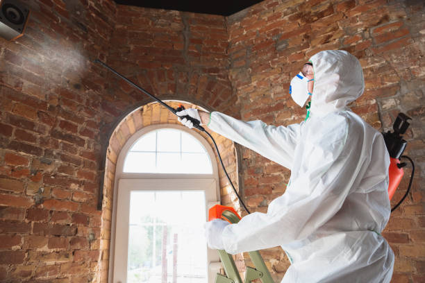 Best Mold Remediation for Healthcare Facilities in Wooster, OH